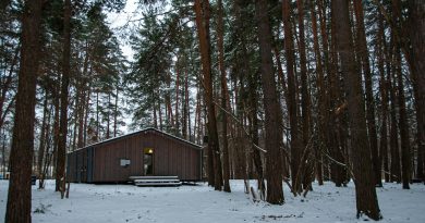 Sprehod skozi gozd in sproščujoč objem doma