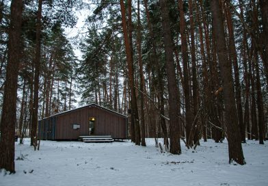 Sprehod skozi gozd in sproščujoč objem doma
