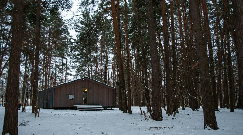 Sprehod skozi gozd in sproščujoč objem doma