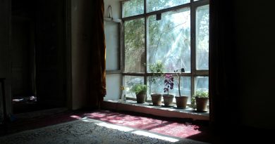 The Quiet Power of Unsung Heroes in Our Daily Lives