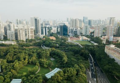 Zelena oaza v srcu mesta