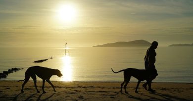 Optimizacija jutranje rutine za večjo produktivnost