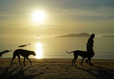 Optimizacija jutranje rutine za večjo produktivnost